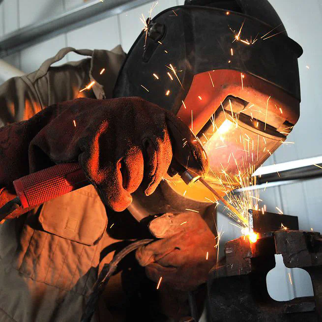 The heterogenous impact of tariff and NTM on total factor productivity of Indonesian firms